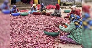 India Lifts 20% Export Duty On Onions Amid Price Easing