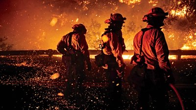 Orman Yangınlarının Nedenleri: Türkiye ve Dünya'da Hektarlarca Ormanı Yakan Yangınları Başlatan Unsurlar Neler?