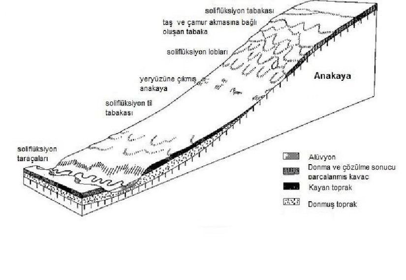 Altta donmuş toprağın üzerinde eğim boyunca akan üst toprak ve taraçalar. Altta geçirimsiz tabakanın varlığı sonucu sızamayan sular bu sayede toprağı harekete geçirirler. Görselde ki yazılar, Evrim Ağacı tarafından Türkçeye çevrilmiştir.