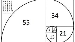 Fibonacci Sayıları Nedir?