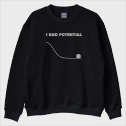 ''I Had Potential'' Sweatshirt