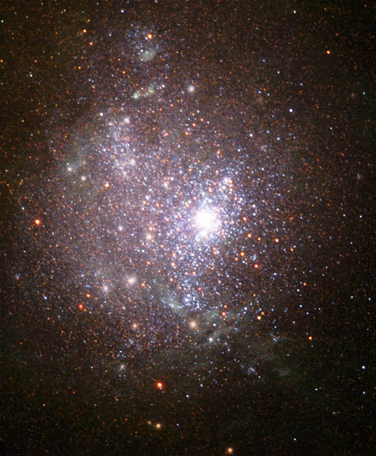 The Stars of NGC 1705