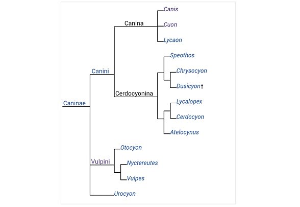 Şema üzerinden gösterimi.