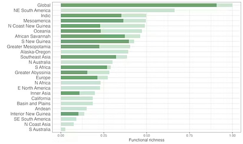Coğrafi bölgeler arasındaki gramer çeşitliliğini (işlevsel zenginlik) gösteren sütun grafiği. Açık yeşil güncel çeşitlilik seviyesini gösterirken koyu yeşil, risk altında olan dillerin ölmesi halinde elde edilecek seviyeyi gösteriyor.