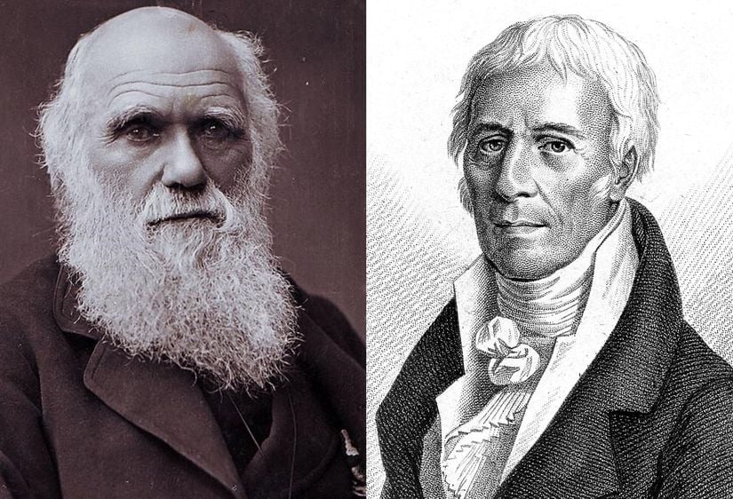 Darwin ve Lamarck