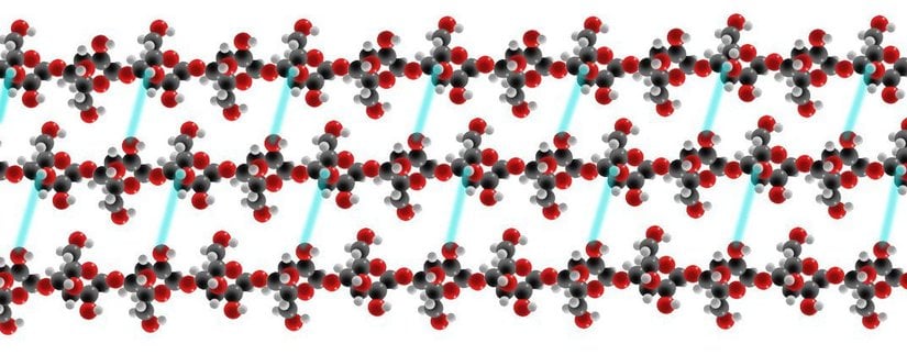 Şekil 8. Mikrofibril