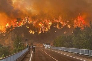 Wildfires Ravage Cyprus And Turkey Amid Deadly Heatwave