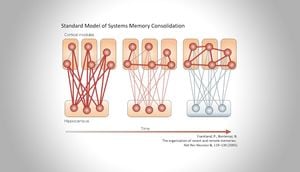 How Targeted Memory Reactivation Enhances Memory During Sleep