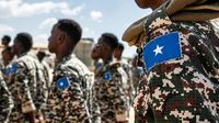 Somalia sacks defence minister amid US pressure over his Turkey ties