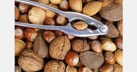 Argentina signs nut export deal with China