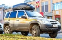 Волонтёры «Лизы Алерт» назвали категорию чаще всего пропадающих в России людей