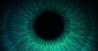 Entdecken Sie eine brandneue Farbe: Olo Color