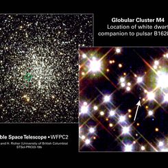 The Planet, the White Dwarf, and the Neutron Star