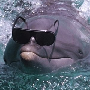 NOBK (Ne Olduğu Bilinmeyen Kanal)