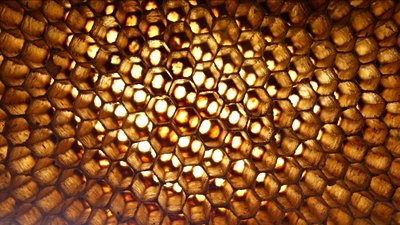 Doğada Altıgen Geometri Neden Bu Kadar Yaygın?