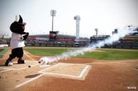 '시범경기 1·2위 맞대결' KT-한화 개막전, 1만8700석 '오후 1시 매진' [수원 현장]