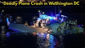 Tragedy Strikes Washington D.C. With Airplane-Helicopter Collision