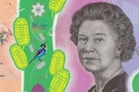 New theme for $5 banknote - News | InDaily, Inside South Australia