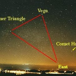 Vega