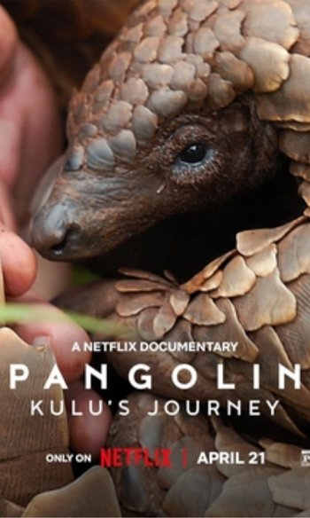 Pangolin: Kulu'nun Yolculuğu