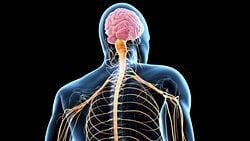 Amyotrofik Lateral Skleroz (ALS) Nedir? Motor Nöron Hastalığı Tedavi Edilebilir mi?