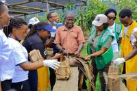 Bwindi Locals Lead Tree Planting, Anti-Plastic Campaigns on World Gorilla Day