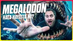 Megalodon, Okyanusların Dibinde mi Saklanıyor?