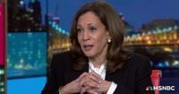 Kamala Harris blasts ‘tyrant’ Trump and his ‘fragile ego’ in exclusive MSNBC interview