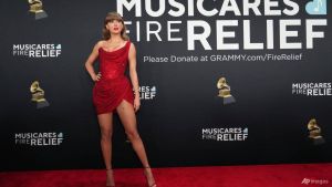 Stars Shine Bright On Grammy Red Carpet With Charitable Spirit