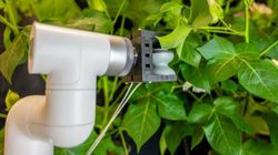 Yumuşak Robot Bitki Yapraklarına Sensör Enjekte Ederek Tarımda Devrim Yaratıyor!