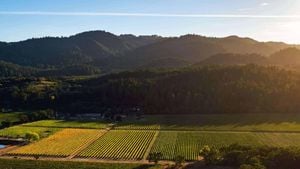 Napa Valley Wine Scene Embraces New Horizons