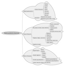 Gerçekliği verimli bir şekilde nasıl algılarız?
