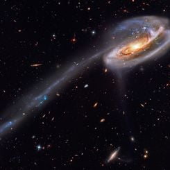 Arp 188 and the Tadpole's Tail