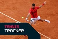 Tennis Tracker: French Open semi-finals set with Djokovic, Sinner and Boisson marching on | Flashscore.com