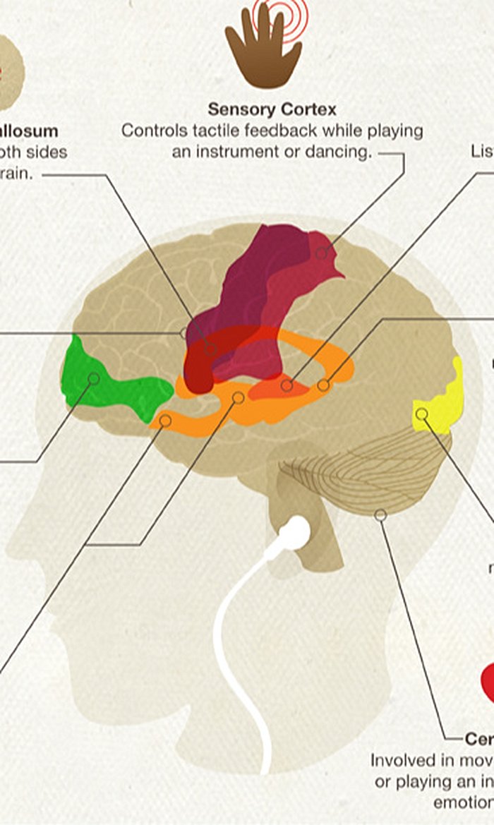 Müziğin Beyin Ağlarındaki Yolculuğu ve Nöroplastisite Üzerindeki Etkileri