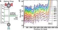 DNA calorimetric force spectroscopy at single base pair resolution - Nature Communications