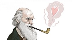 Kültürel Evrim Nedir? Kültür Nasıl Evrimleşir?