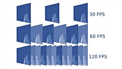 Bizim kesintili gördüğümüz görüntüyü diger canlılarda kesintili mi görüyor?