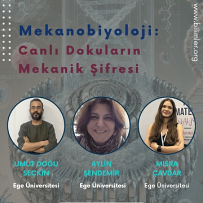 Mekanobiyoloji: Canlı Dokuların Mekanik Şifresi