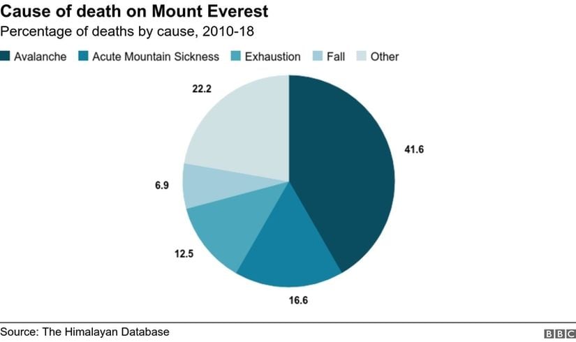 2010 ve 2018 yılları arasındaki ölümlerin sebeplerinin yüzde oranları. Avalanche; çığ düşmesi, acute mountain sickness; akut dağ hastalığı, exhaustion; yorulma ve tükenme, fall; düşme, other; diğer.