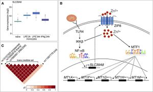 Understanding Pre-Analytical Impact On Cancer Gene Expression