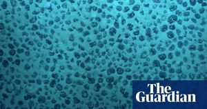 Discovery Of 'Dark Oxygen' Challenges Ocean Theories