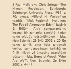 Milyon yıl başına DNA mutasyon oranı kaçtır?
