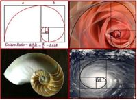 Nature inspired optimization of IoT network for delay resistant and energy efficient applications - Scientific Reports