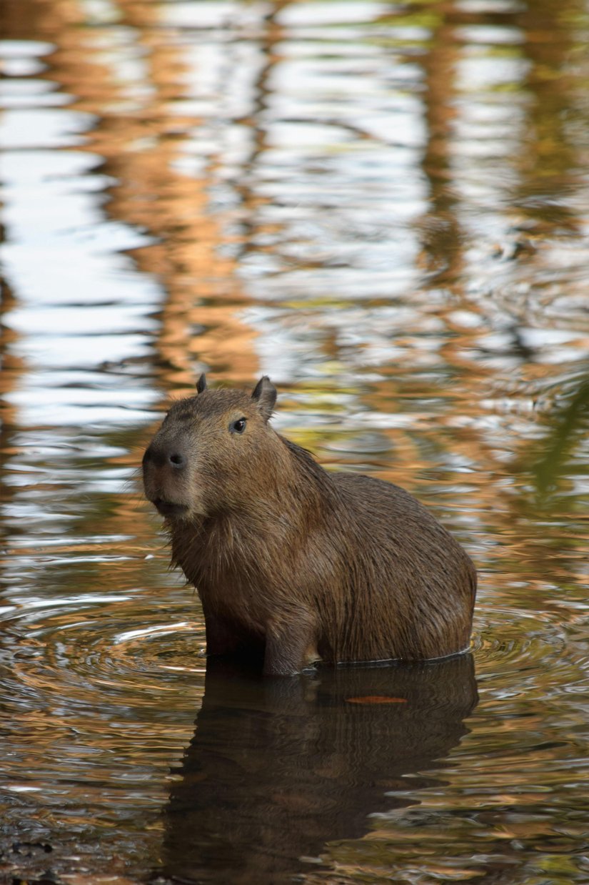 @dış mekan, açık hava, bakir bölge
