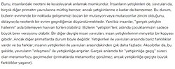Semender Makalenizde resimde belirtmiş olduğum bölümde tam olarak ne kastettiniz ?