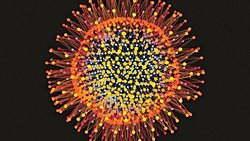 Kök Hücrelerimizin Farklılaşma Becerisini Antik Bir Virüsün DNA'sına Borçluyuz!