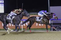 【UAEダービー】日本のアドマイヤデイトナが大接戦を制する | 競馬ニュースなら競馬のおはなし