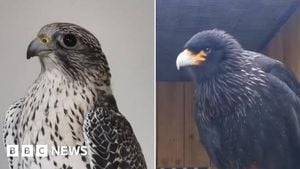 Cornish Birds Of Prey Centre Rallies After Theft