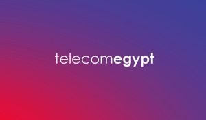 Egypt Telecom Reports Decline In Profits Amid Currency Fluctuations